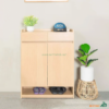 Tủ giày MDF vân gỗ TG001